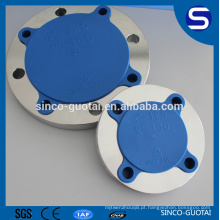 flange de aço inoxidável forjado 316l dn250